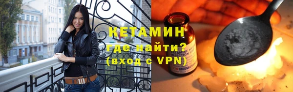 шишки Дмитровск