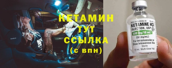 шишки Дмитровск
