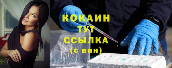 шишки Дмитровск