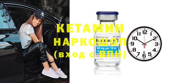 шишки Дмитровск