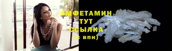 шишки Дмитровск