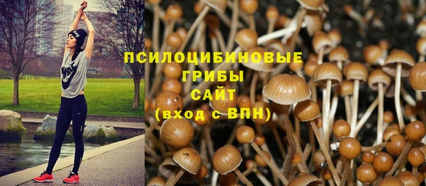 шишки Дмитровск