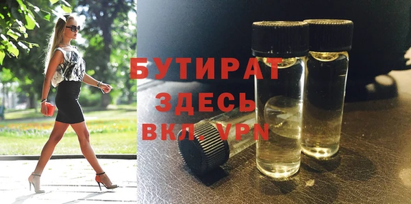 шишки Дмитровск