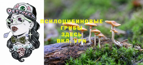 кристаллы Дмитров