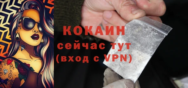 шишки Дмитровск