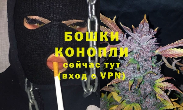 экстази Дмитриев
