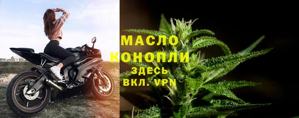 шишки Дмитровск