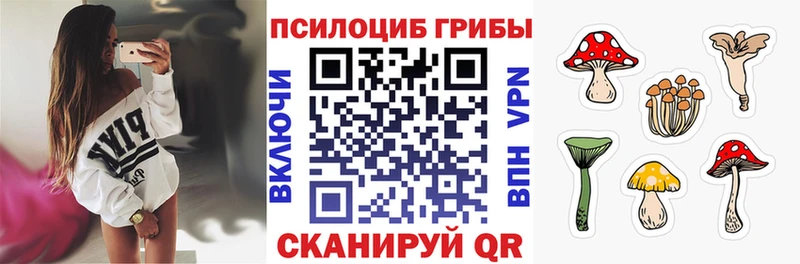 Псилоцибиновые грибы GOLDEN TEACHER  Павловская 
